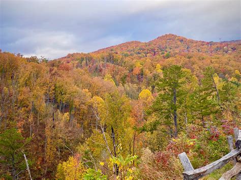 Laurel Falls Trail in Fall by fosspathei on DeviantArt