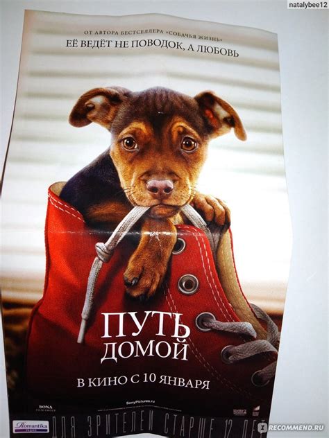 Картинки жизненный путь (99+) • Прикольные и красивые картинки