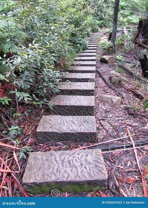 stepping stones stock image image  bush bushwalking