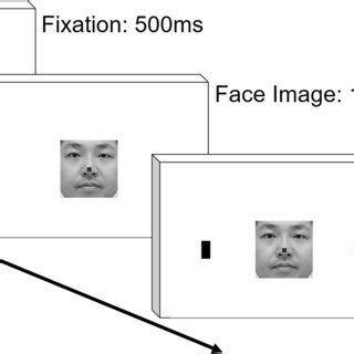 Schematic Representation Of Temporal Sequence In Stimulus Presentation