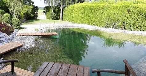 Schwimmteich Mit Holzterrasse Und Holzsteg Gardening Garden Bridge