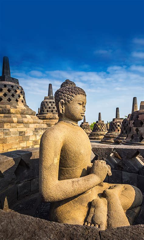 STARLUX Airlines Official Website