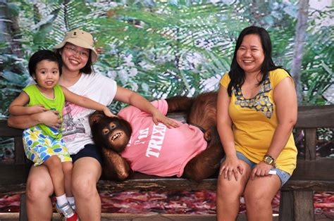 At The Avilon Zoo In Rizal It Is Currently The Largest Zoological