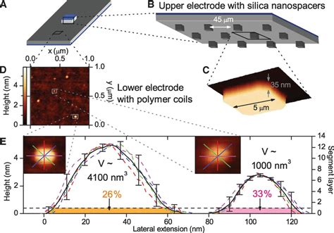 Glassy Dynamics In Condensed Isolated Polymer Chains Science