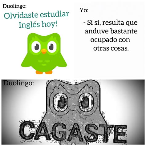 Top Memes De Duolingo En Español Memedroid