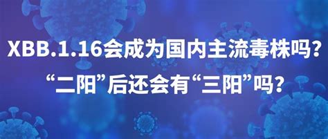 Xbb116会成为国内主流毒株吗？“二阳”后还会有“三阳”吗？ 知乎