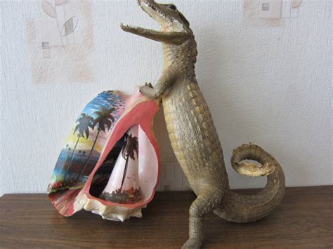 Крокодильчик-кайман ★ Советский человек на Кубе