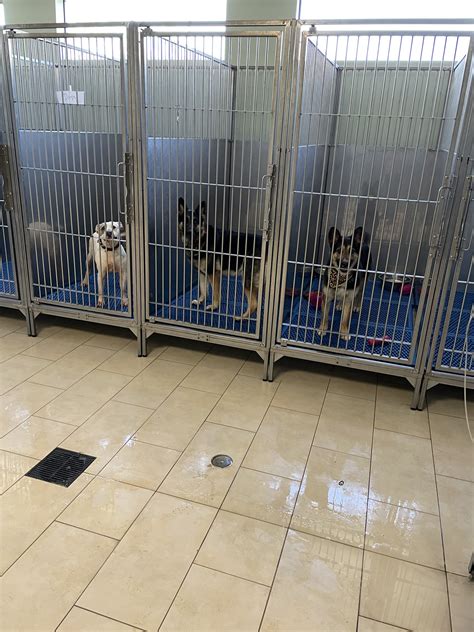 4 Paws Pet Hospital | Bakersfield CA
