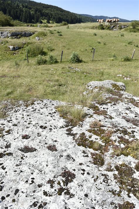 Franche Comté Agriculture Haut Doubs Haro Sur Le Casse Cailloux