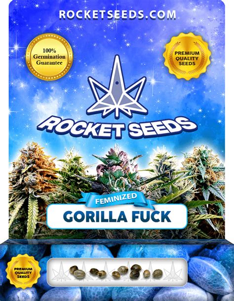 Gorilla Fuck Feminized Seeds Rocket Seeds