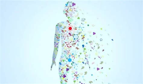 Personalized medicine study for cancer therapies 