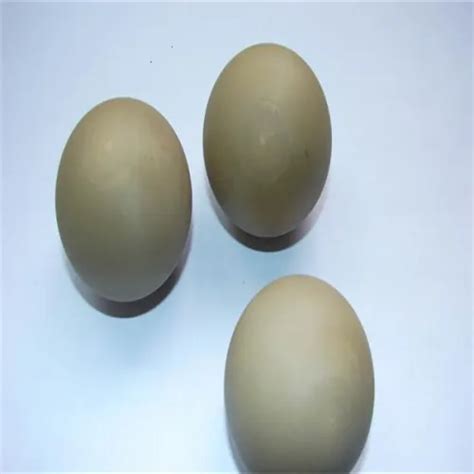 Peek Engineering Plastic Balls High Quality Peek Engineering Plastic