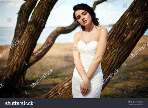Caucasian Model Girl Brunette Posing White Stock Photo Shutterstock