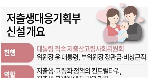 그래픽 저출생대응기획부 신설 개요