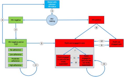 The care and treatment system. A flowchart of the stages of the HIV ...