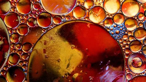 Почему муравьиный спирт так называется? - Hi-Tech Mail