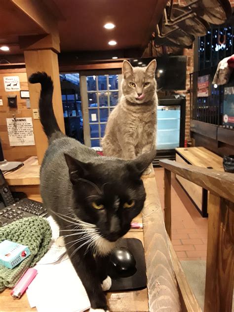 398 best Relationship Status images on Pholder | Crusader Kings