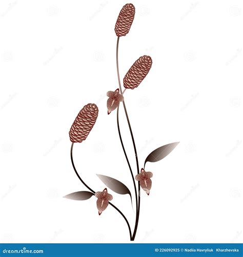 Floral Abstract Background with Cones and Flowers. Stock Vector