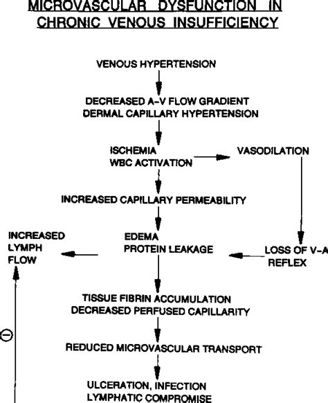 Venous Ulcer Pathophysiology