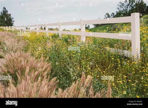 White Fence Field Hi Res Stock Photography And Images Alamy