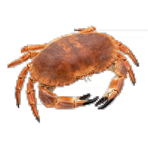 crabs nutrients health benefits  shopping tips