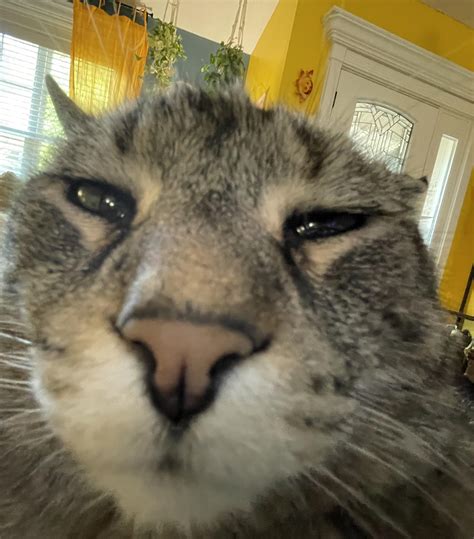 High Ass Wink R Ihaveihaveihavewunkus