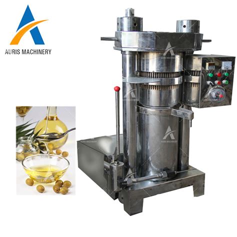 Hydraulic Coffee Cocoa Bean Extraction Machine Camellia Oil Press Palm