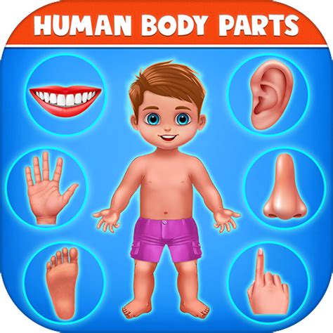 Human Body Parts - Preschool Kids Learning:Amazon.ca:Appstore for Android