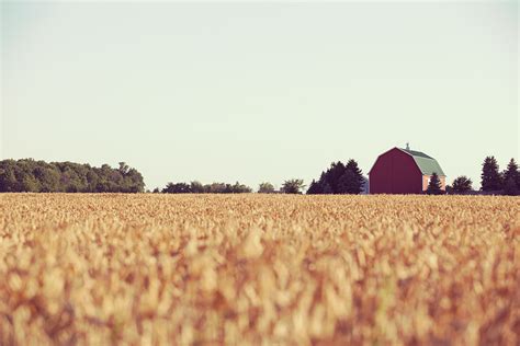 Board Of Directors Missouri Farm Bureau