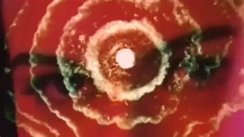 Dayana Kill 2024 Free Porn Star Videos XHamster