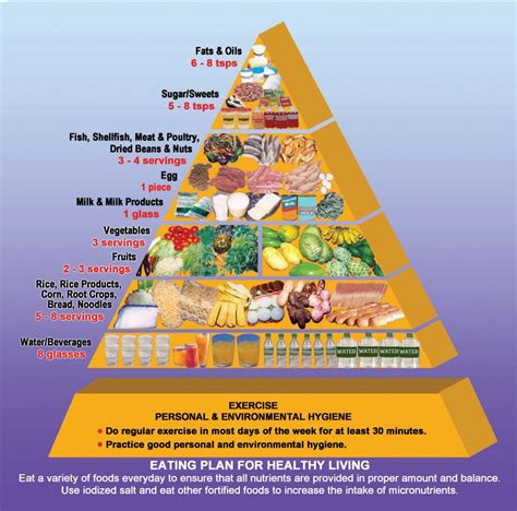 Food Pyramid - Collection of Food Pyramids from all over the world