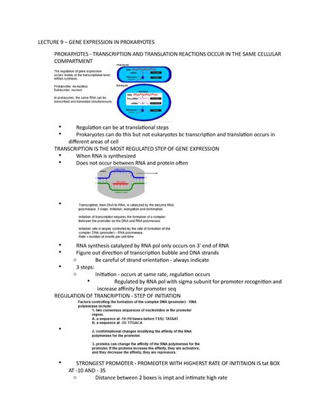 Lec Gene Expression In Prokaryotes Lecture Gene Expression In