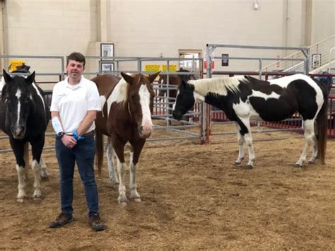 Suhls Rodeo Updated June 2025 1010 Suhls Ln Kissimmee Florida