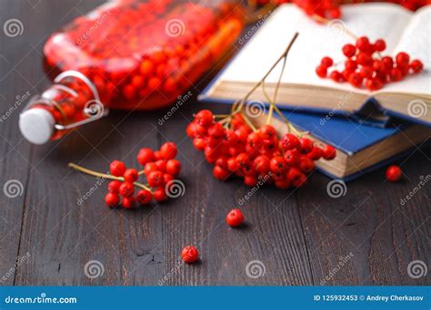 Fall Harvest Made Alcohol From Berries Stock Image Image Of Cardamom