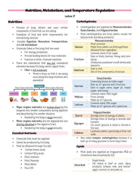 SOLUTION: Anatomy and physiology nutrition metabolism and temperature