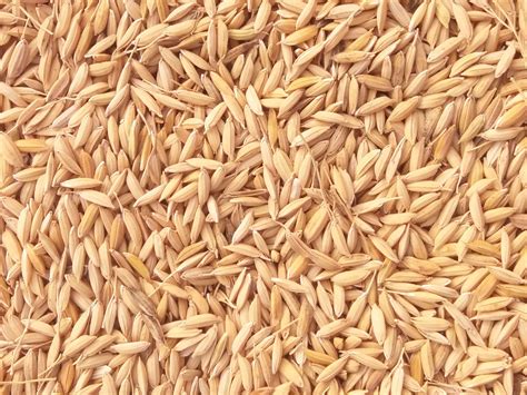 Rice Husk Composite The Exploded View
