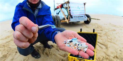 Yes You Re Consuming Microplastics — Here S How Much And What We Do And Don T Know About The