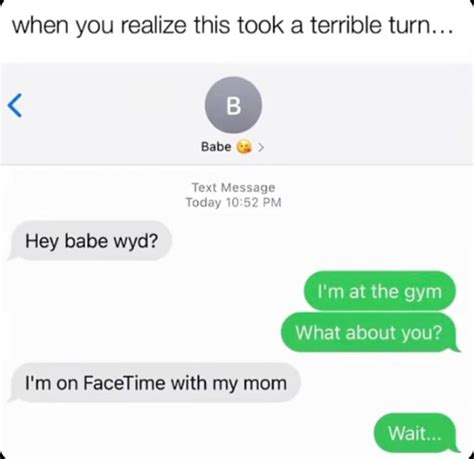 When You Realize This Took A Terrible Turn Babe Text Message Today 10 52 PM Hey Babe Wyd I