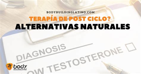 Guía De Terapia De Post Ciclo Pct Alternativas Naturales