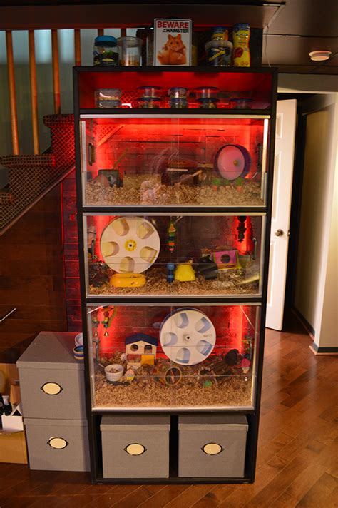 Diy Hamster Cage Takes Forever To Clean But Totally Worth It R