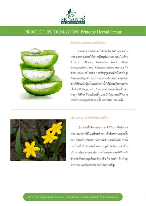 Princess Herbal Cream / 10 g. - sesante-biolab