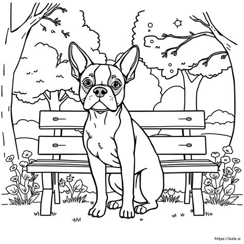 Boston Terrier Coloring