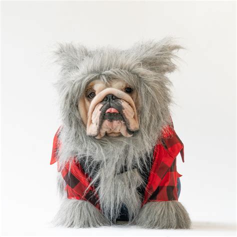 WONTON WEREWOLF costume – Wonton Collection