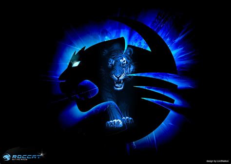 roccat wallpapers wallpaper cave