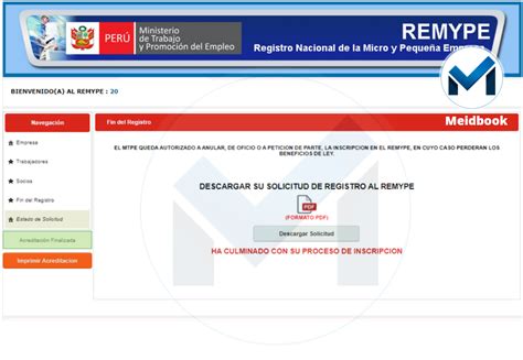 Grupo Meid Per Sac C Mo Descargar Su Solicitud De Registro Al Remype