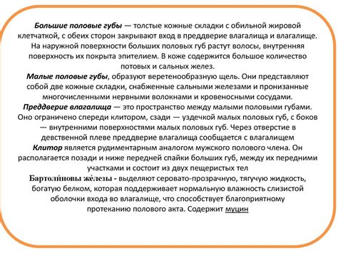 Какими Должны Быть Половые Губы Фото – Telegraph