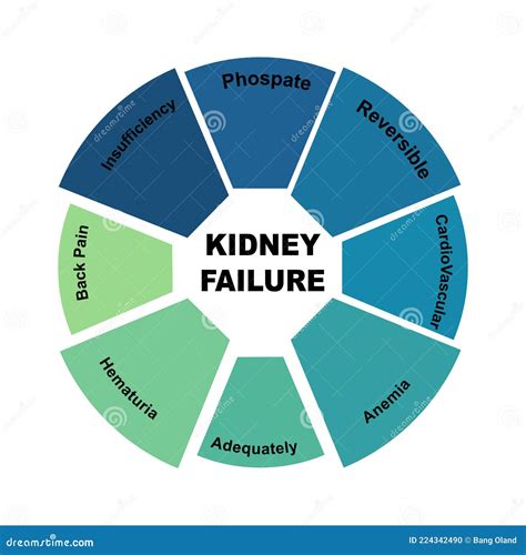 Kidney Failure For Landing Page. Pyelonephritis, Diseases And Kidney