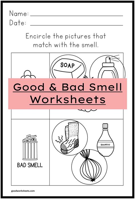 Good And Bad Smell Worksheets For Kindergarten And Preschool In 2021 Kindergarten Worksheets