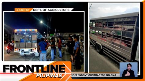 2 Truck Na May Kargang Baboy Naharang Sa Checkpoint Vs ASF