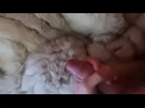 Teasing My Dick In Fur Coat Xvideos